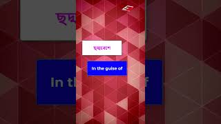 Learn Phrases and Idioms with Bangla meaning \ English learning tutorial [upl. by Frymire831]