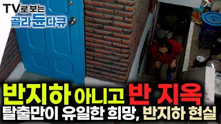 끝 없는 어둠 무한 증식 곰팡이와의 동거 탈출만이 유일한 소원이 됐다｜유일한 보금자리지만 동시에 반 지옥이 된 반지하 살이｜대한민국 반지하 현실｜골라듄다큐 [upl. by Amersham]