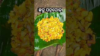 Chatu Patrapoda 😍  Chatu Besara shorts ytshorts mushroom viral patrapoda [upl. by Leohcin]