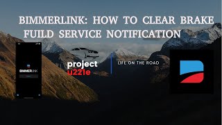 BIMMERLINK CLEAR BRAKE FLUID SERVICE NOTIFICATION IN LESS THEN A MINUTE [upl. by Einwahr404]