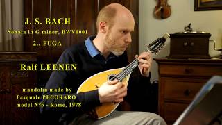 BACH  Sonata in g minor BWV1001  FUGA  Ralf LEENEN [upl. by Sculley]