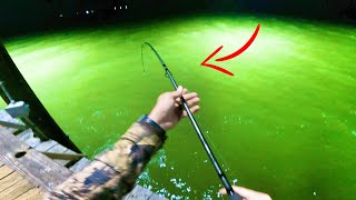 BAFFIN BAY FISHING 2023 FEEDING FRENZY [upl. by Purity]