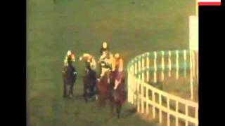 1975 Irish Sweeps Hurdle Leopardstown Night Nurse [upl. by Eiltan]