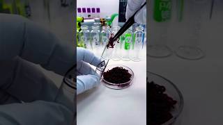 Resident evil 3 Worms in umbrella corporations lab scienceexperiment virusresearch alphavirus [upl. by Rhonda]