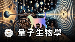 生命起源，全靠量子力學！用量子物理，解決科學界三大謎題之首，揭秘神秘的量子生命！ [upl. by Einomrah781]