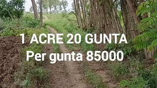 Ac 1 ACRE 20 GUNTA LAND FOR SALE Mahadevu 9448622855 panchamukhiproperties [upl. by Atalayah]