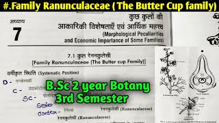 Family Ranunculaceae in Hindi  The Butter cup family  BSc 2nd year Botany 3rd Semester [upl. by Ardeha542]