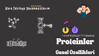 Proteinler Genel Özellikleri [upl. by Fidelia]