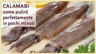 CALAMARI  come pulirli perfettamente in pochi minuti [upl. by Ecar246]