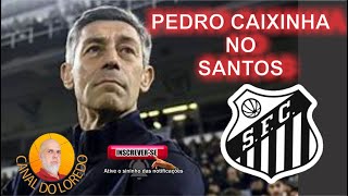 PEDRO CAIXINHA NO SANTOS [upl. by Aseena53]