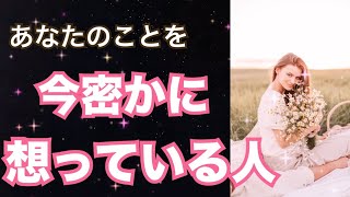 【気づいてる？👀】あなたのことを今密かに想っている人がいます。個人鑑定級 恋愛タロット占い ルノルマン オラクルカード細密リーディング [upl. by Kimberley]