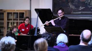 B Martinu Flute Sonata 1st mvt [upl. by Angus303]