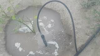 Bubbler Irrigation system at TDA Fruit Farms Chak 364tda Rafiqa Abad Layyah [upl. by Aiotal]