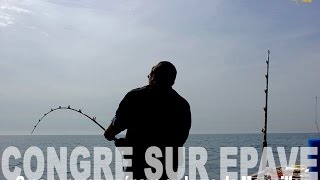 Pêche dun gros congre sur épave [upl. by Alegnad]