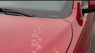 Egging of 40 cars in Girard prompts police investigation [upl. by Ramedlab13]