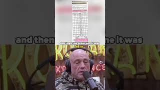 Joe Rogan on Fury vs Ngannou scorecard quotHe won that fightquot [upl. by Hsara193]