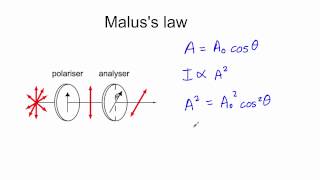 Malus law [upl. by Erlene]