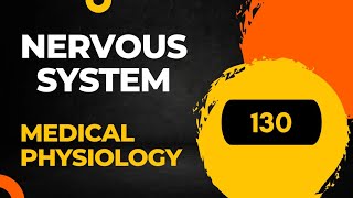 Overview of Nervous systemintroduction 130 Sembulingam physiology [upl. by Nauqahs751]