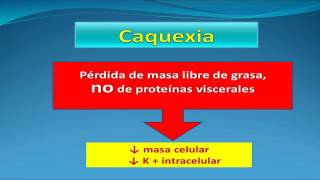 Jornada Nutrición y Cáncer “Fisopatología de la caquexia” [upl. by Yarg]