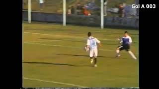 Argentino de Merlo 2008  Goles DT R De Paoli [upl. by Alya456]