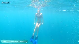 Amazing Freediving amp Snorkeling in Phu Quoc Island  Vietnamtravel [upl. by Aicul405]