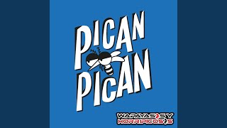 Pican Pican [upl. by Isac335]