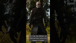 How many Witcher Schools are there  Witcher Lore shorts [upl. by Jay150]