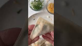 Beef Birria Wontons [upl. by Cilegna]