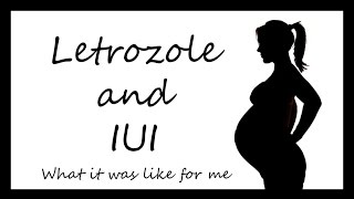 Trying to get pregnant  Letrozole and IUI  Part 4 [upl. by Enoed448]