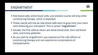 Autologous vs Allogeneic Transplant  Autologous and Allogeneic Stem Cell Transplantation [upl. by Areehs396]