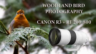 Exploring the Wyre Forest  UK Bird Photography [upl. by Latsyrd]