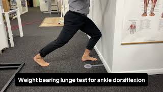 Physical tests with prognostic value in chronic midportion Achilles tendinopathy [upl. by Annert]