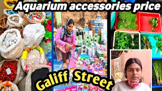 Planted aquarium accessories price at Galiff Street  Kolkata aquarium fish market [upl. by Bathesda]