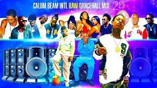 Dancehall Mix 2024  New Dancehall Songs 2024  Dip  TeejayTommy LeeBaykaVybz kartelValiant [upl. by Spragens798]