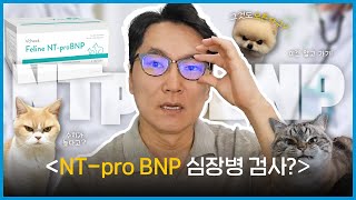 NTproBNP 검사 왜 심장병일 때 할까👨🏻‍⚕️｜검사 비용이 부담된다면｜심장병 검사｜심장초음파｜Troponin I검사란💙 [upl. by Ravo967]