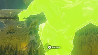 What Happens if you Try to Steal a Silver Lynels Weapons Zelda Breath of the Wild [upl. by Arykat546]