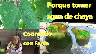 Porque tomar agua de chaya propiedades y beneficios de la chaya [upl. by Trumann491]