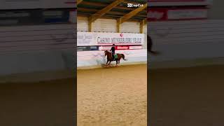 I’m training for a competition on December 4 ❤️ stellabella equestrian starequestrian pony ￼ [upl. by Suchta203]