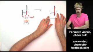 Food Calorimetry Lab Explanation [upl. by Bovill]