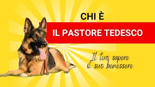 Cane razza Pastore Tedesco ecco chi è [upl. by Eeruhs40]