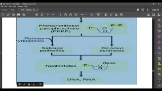 L86 Pyrimidines Synthesis [upl. by Cawley955]