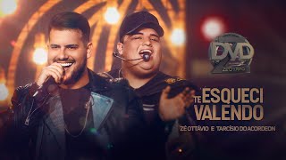 TE ESQUECI VALENDO  Zé Ottávio e Tarcísio do Acordeon DVD Ao Vivo em Goiânia [upl. by Parnell]