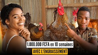 La Meilleure Stratégie Pour GAGNER 1000000 FCFA Avec Le Poulet GOLIATH [upl. by Aisital]