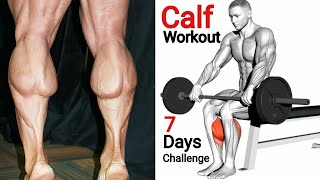 The Perfect Calf Workout for Beginners [upl. by Foskett]