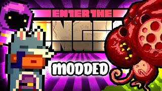 Modded Gungeon Update ft Retromation [upl. by Natsrik500]