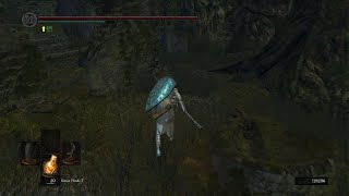 dark souls enemy gets coup de grace from dbd [upl. by Deehahs]