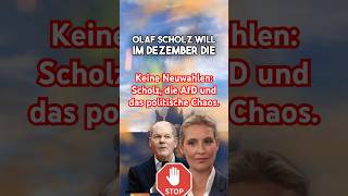 Keine Neuwahlen Scholz die AfD und das politische Chaos [upl. by Lohse]