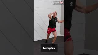 45 Home MMA Training and Kickboxing Workout [upl. by Ardnoid]