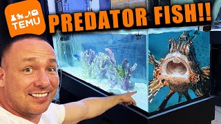 I built a saltwater predator fish tank with only TEMU aquarium products [upl. by Ravaj]