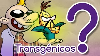 ¿Los transgénicos son peligrosos [upl. by Korney18]